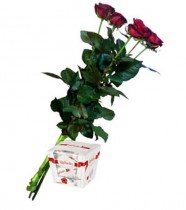 5 red roses + Raffaello